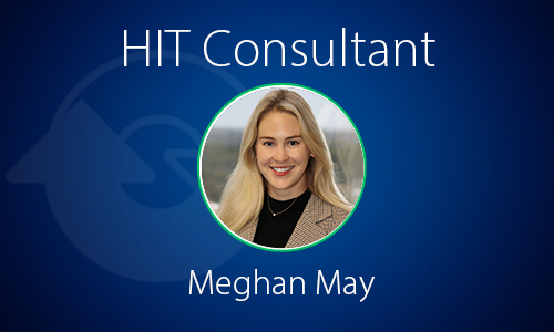 protecting margins HIT consultant Article featured image