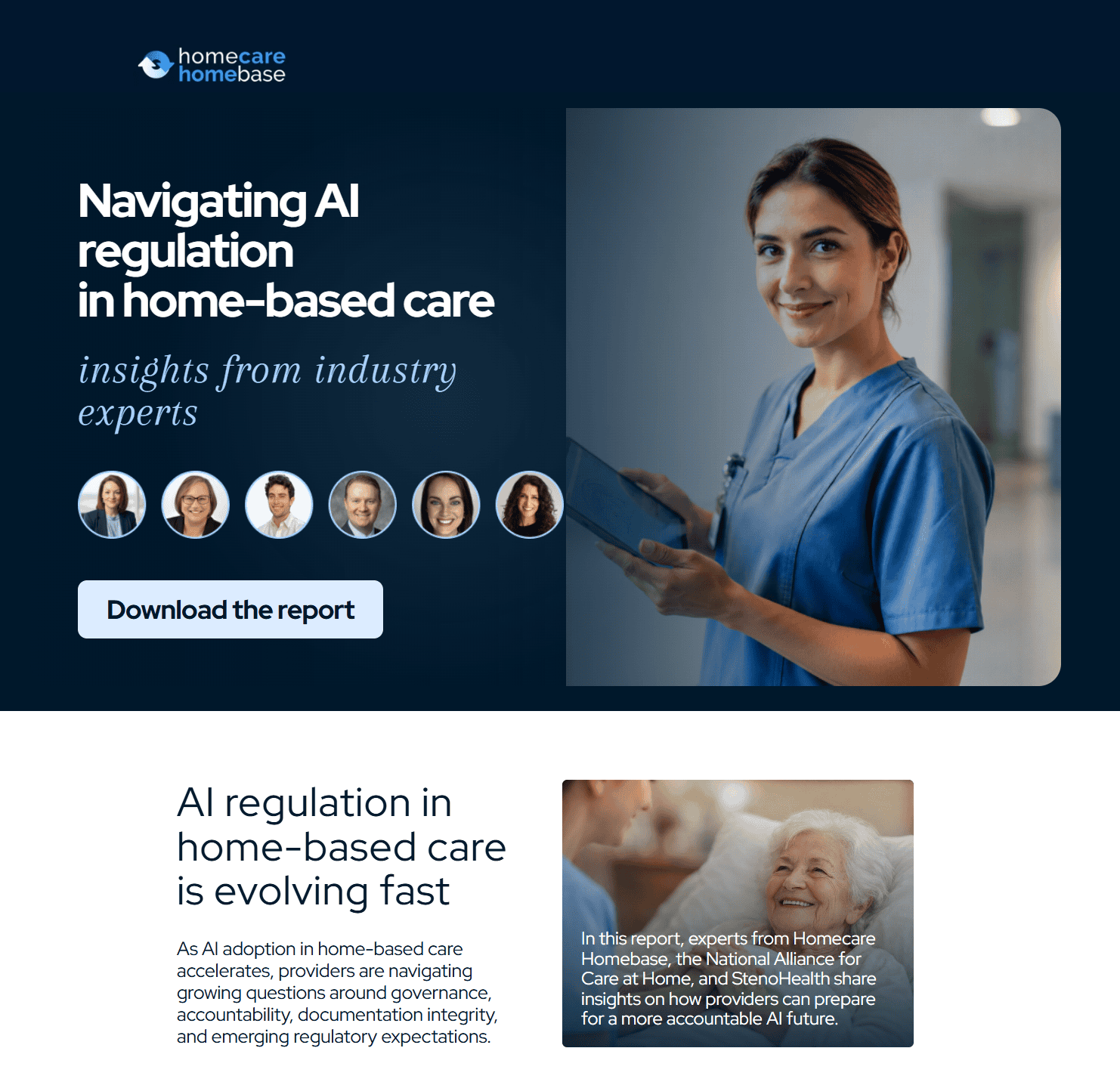 Navigating AI Regulation