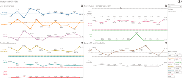 Hospice homecare analytics dashboard showing metrics and trends.